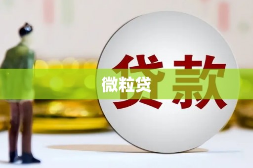 美浓微粒贷