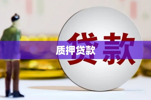 美浓质押贷款
