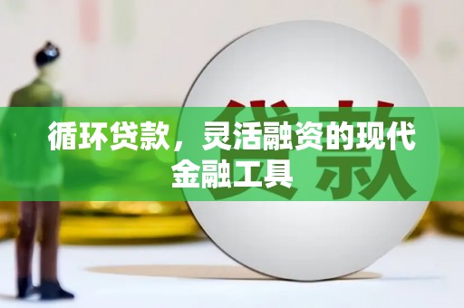 美浓循环贷款，灵活融资的现代金融工具