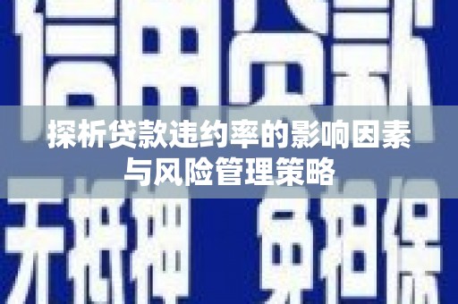 美浓探析贷款违约率的影响因素与风险管理策略