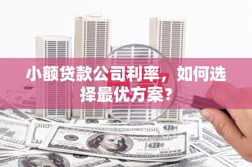 美浓小额贷款公司利率，如何选择最优方案？