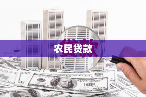 美浓农民贷款