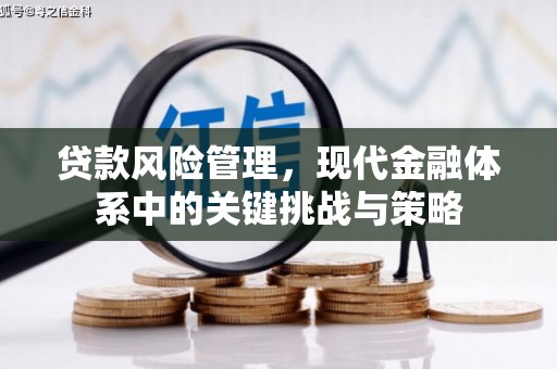 美浓贷款风险管理，现代金融体系中的关键挑战与策略