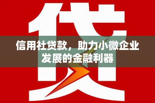 美浓信用社贷款，助力小微企业发展的金融利器
