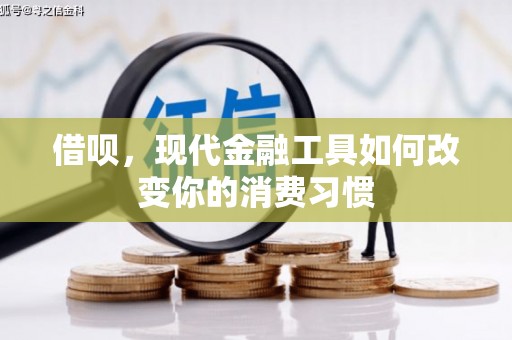 美浓借呗，现代金融工具如何改变你的消费习惯