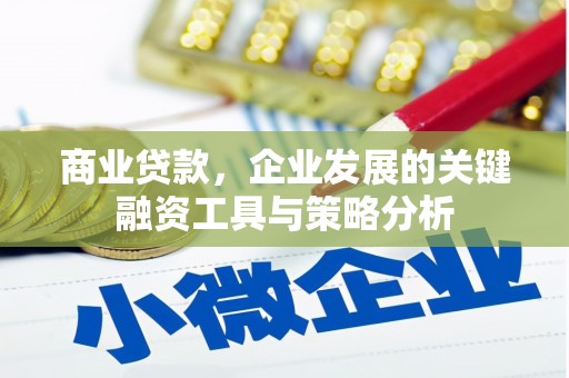美浓商业贷款，企业发展的关键融资工具与策略分析