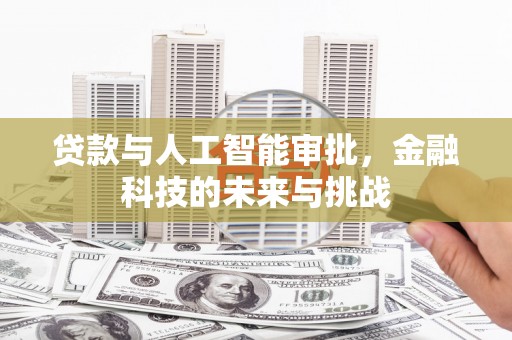 美浓贷款与人工智能审批，金融科技的未来与挑战