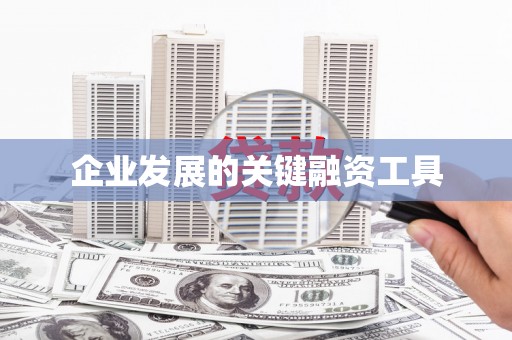 美浓企业发展的关键融资工具