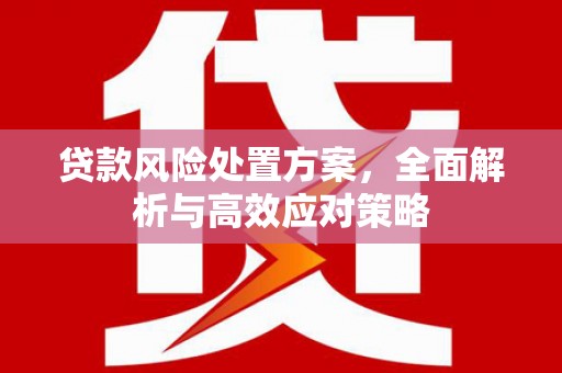 美浓贷款风险处置方案，全面解析与高效应对策略