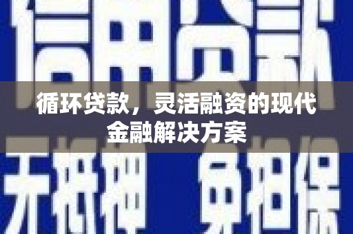 美浓循环贷款，灵活融资的现代金融解决方案