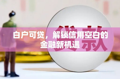 美浓白户可贷，解锁信用空白的金融新机遇