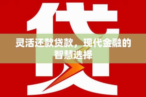 美浓灵活还款贷款，现代金融的智慧选择