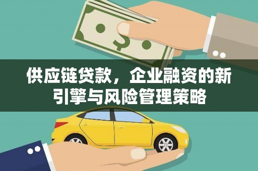 美浓供应链贷款，企业融资的新引擎与风险管理策略
