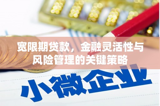 美浓宽限期贷款，金融灵活性与风险管理的关键策略