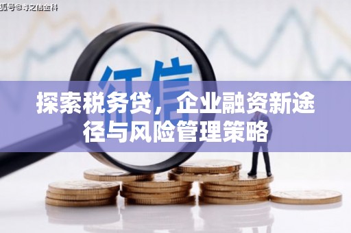 美浓探索税务贷，企业融资新途径与风险管理策略