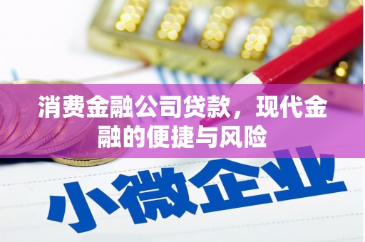 美浓消费金融公司贷款，现代金融的便捷与风险