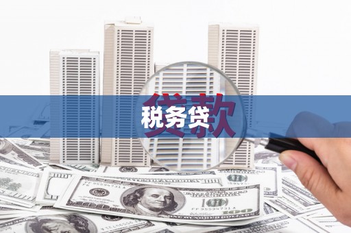 美浓税务贷