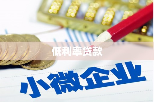 美浓低利率贷款
