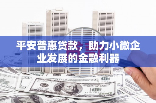 美浓平安普惠贷款，助力小微企业发展的金融利器