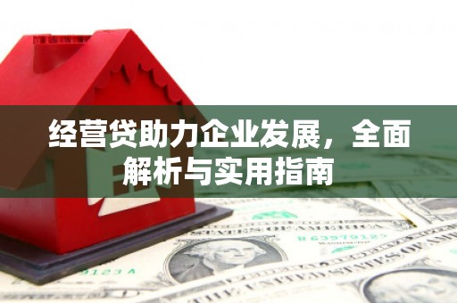 美浓经营贷助力企业发展，全面解析与实用指南