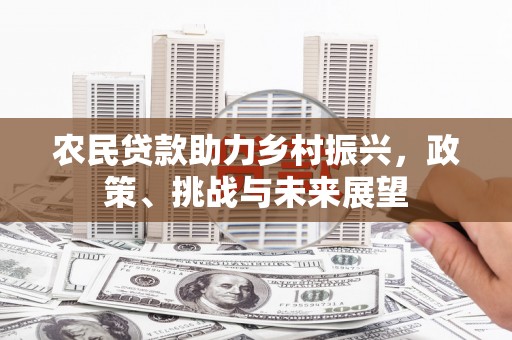 美浓农民贷款助力乡村振兴，政策、挑战与未来展望