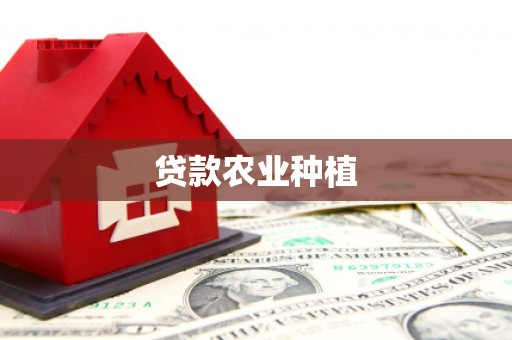 美浓贷款农业种植