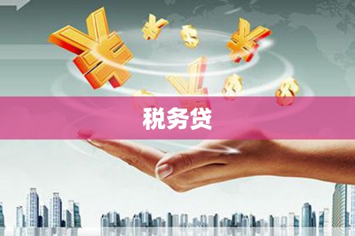美浓税务贷