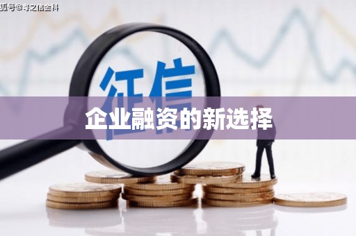 美浓企业融资的新选择