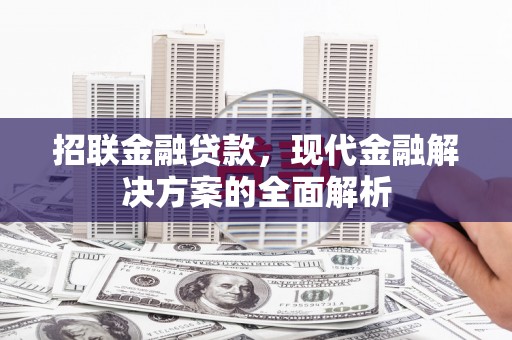美浓招联金融贷款，现代金融解决方案的全面解析