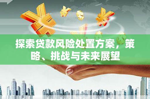 美浓探索贷款风险处置方案，策略、挑战与未来展望