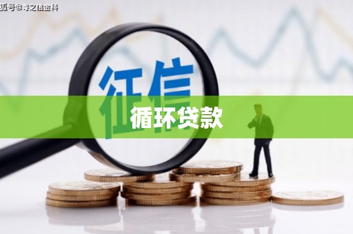 美浓循环贷款