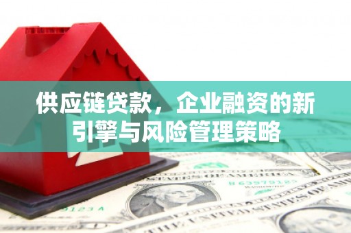 美浓供应链贷款，企业融资的新引擎与风险管理策略