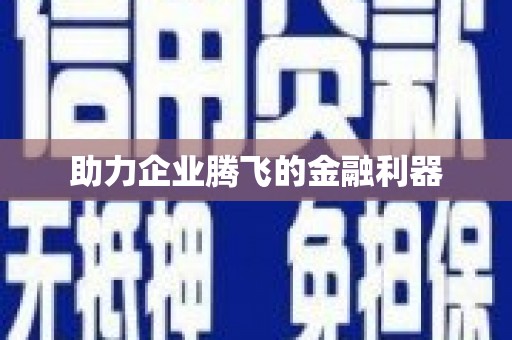 美浓助力企业腾飞的金融利器