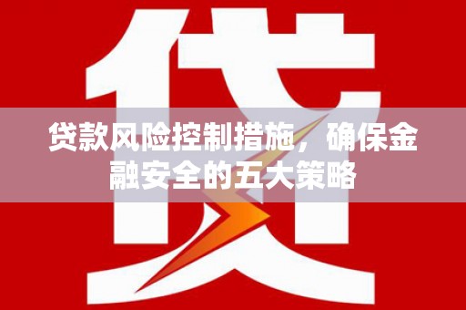 美浓贷款风险控制措施，确保金融安全的五大策略