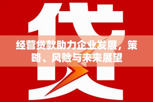 美浓经营贷款助力企业发展，策略、风险与未来展望