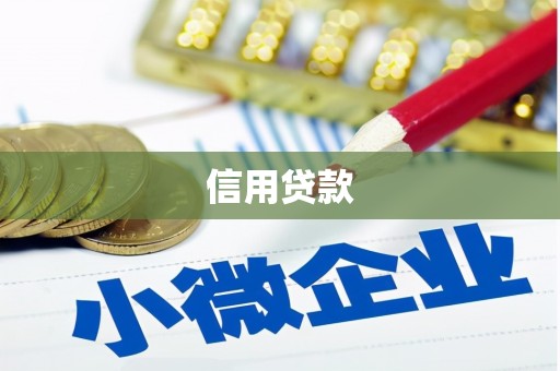 美浓信用贷款