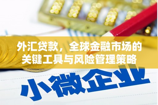 美浓外汇贷款，全球金融市场的关键工具与风险管理策略