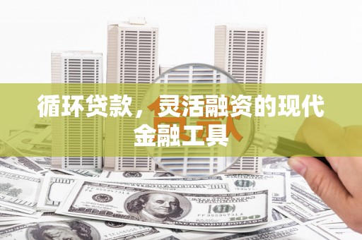 美浓循环贷款，灵活融资的现代金融工具