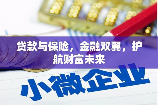 美浓贷款与保险，金融双翼，护航财富未来