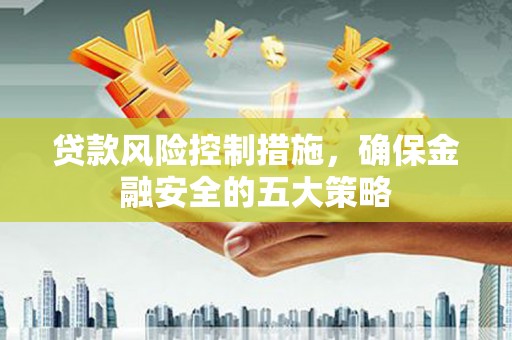 美浓贷款风险控制措施，确保金融安全的五大策略