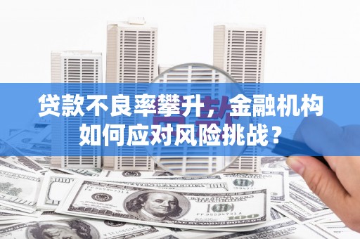 美浓贷款不良率攀升，金融机构如何应对风险挑战？