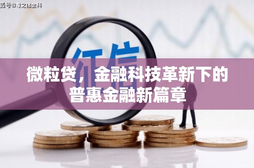 美浓微粒贷，金融科技革新下的普惠金融新篇章