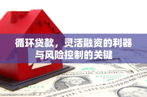 美浓循环贷款，灵活融资的利器与风险控制的关键