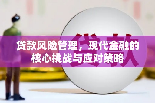 美浓贷款风险管理，现代金融的核心挑战与应对策略