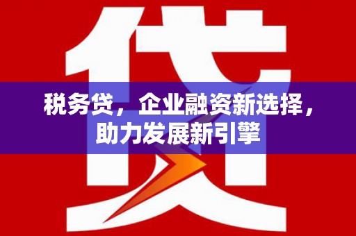 美浓税务贷，企业融资新选择，助力发展新引擎