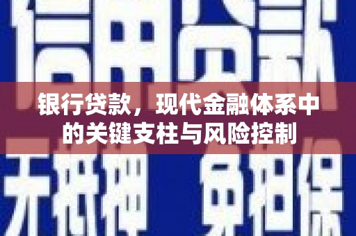 美浓银行贷款，现代金融体系中的关键支柱与风险控制