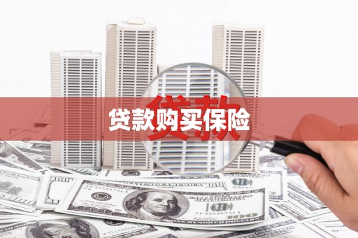 美浓贷款购买保险