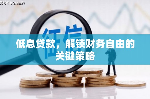 美浓低息贷款，解锁财务自由的关键策略