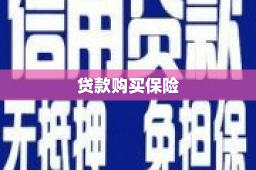 美浓贷款购买保险