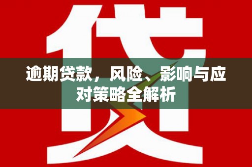 美浓逾期贷款，风险、影响与应对策略全解析